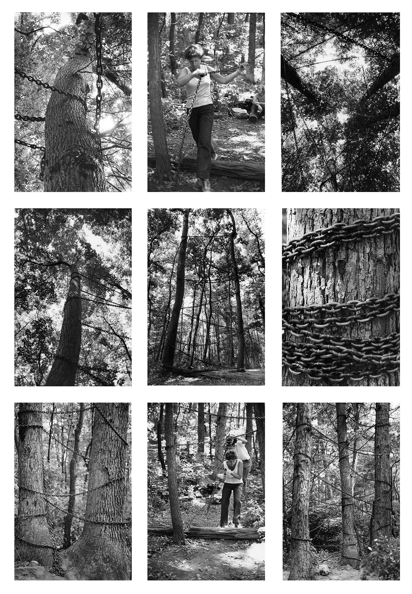 Tree Chaining, 1969/1977