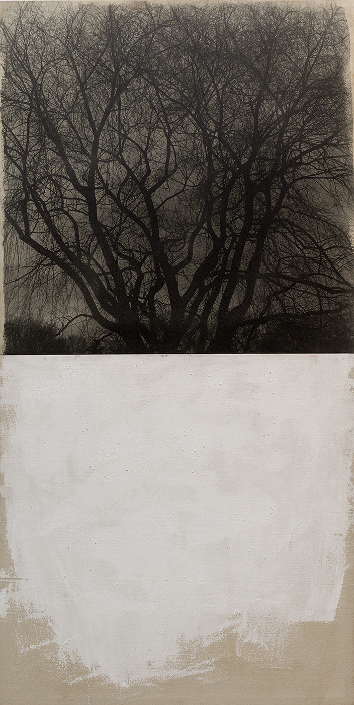 Winter Branches, 1977–8