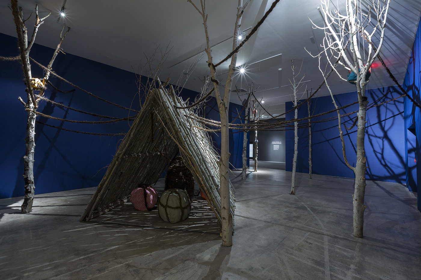 Installation view of Fossa in Santa Fe
