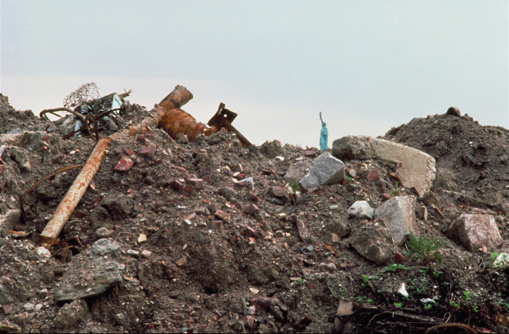 Wheatfield before Planting, 1982