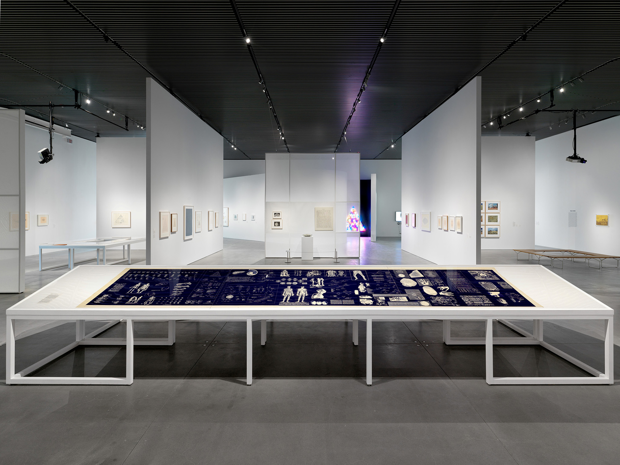 Installation view: 'Introspection I–Evolution'