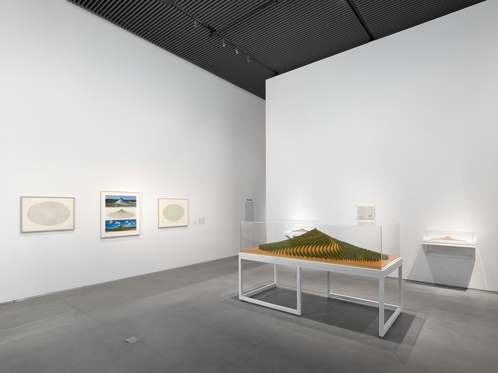 Installation view: Tree Mountain