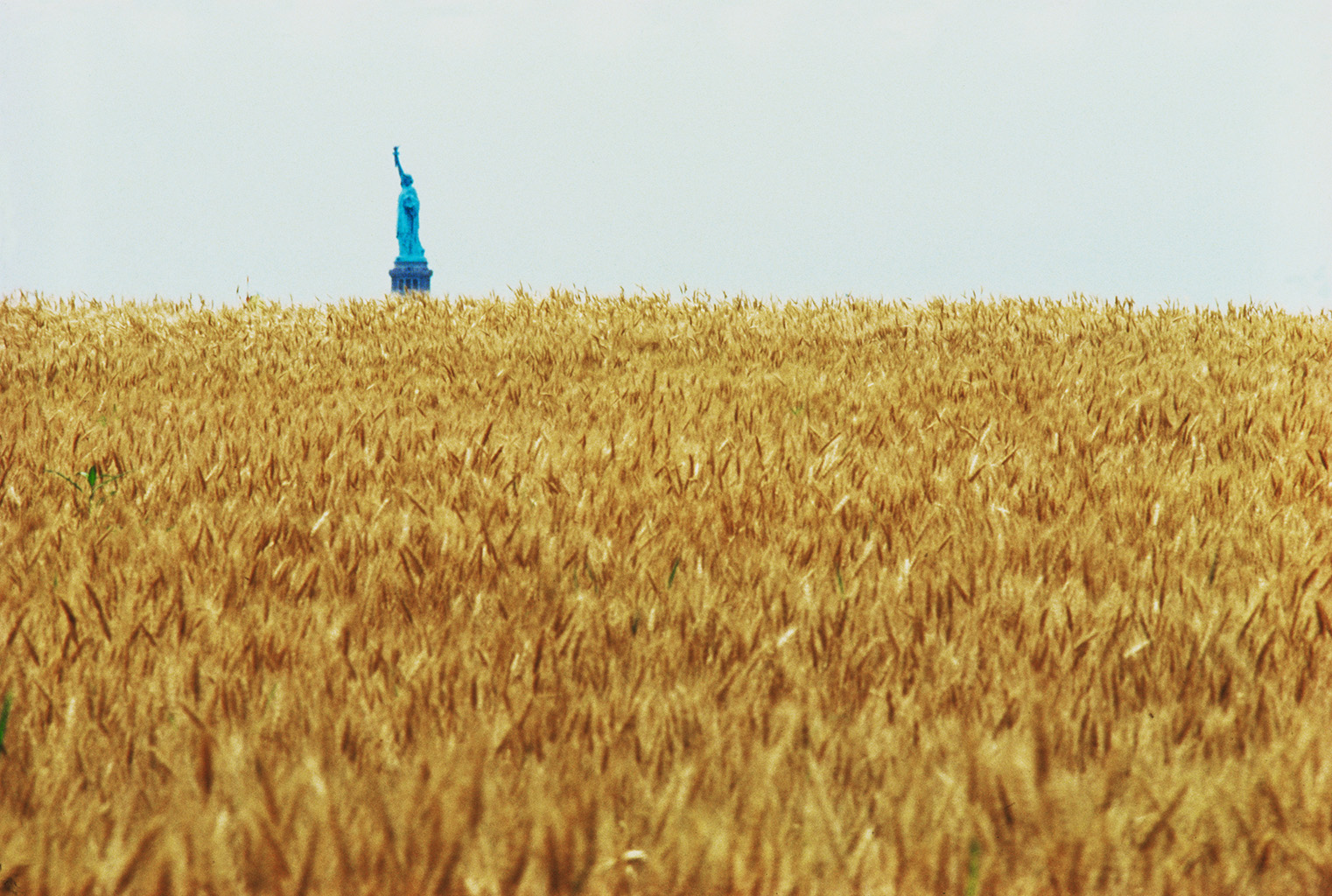 Wheatfield with Statue of Liberty