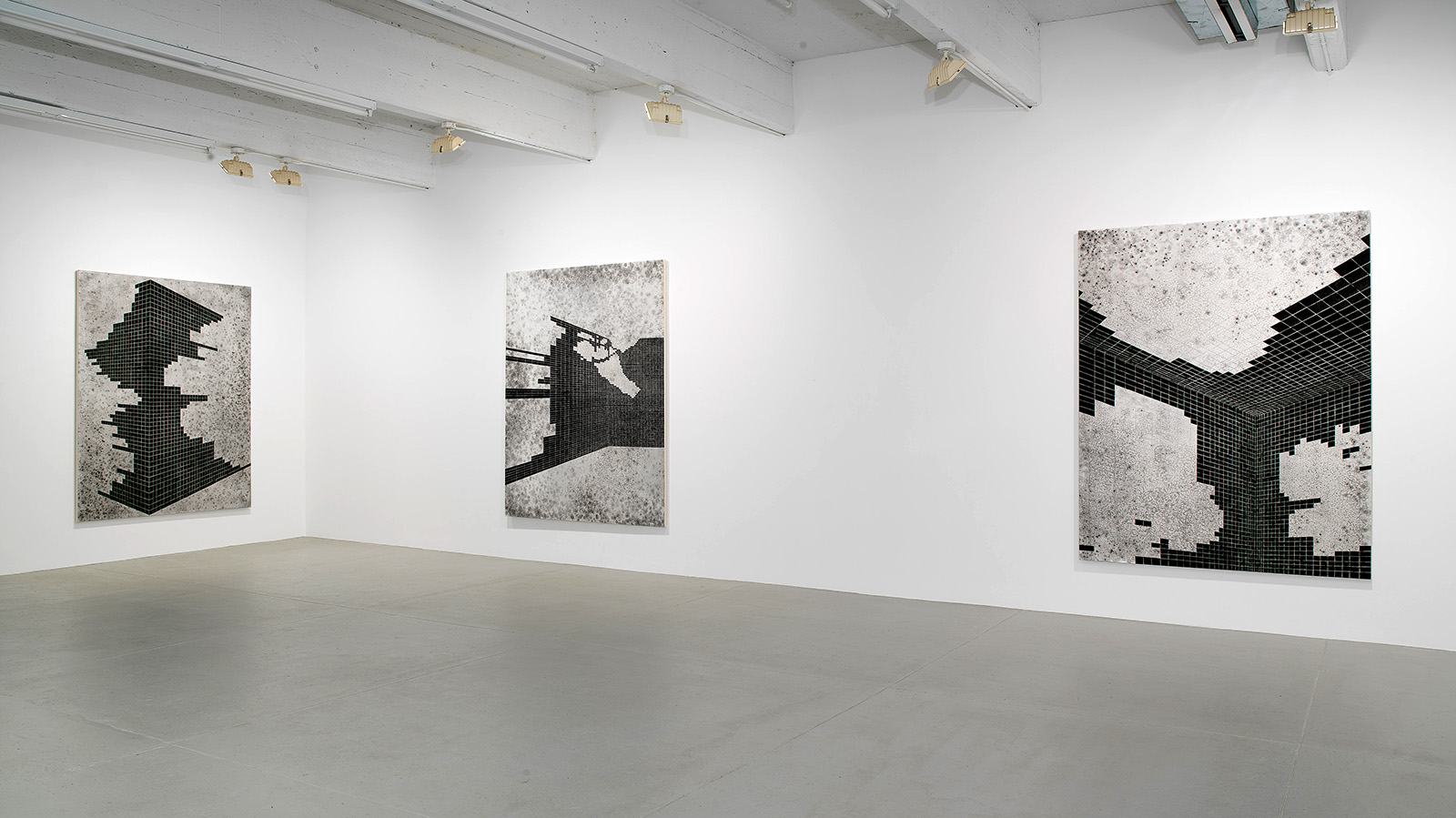 installation view of Danny Jauregui's exhibition