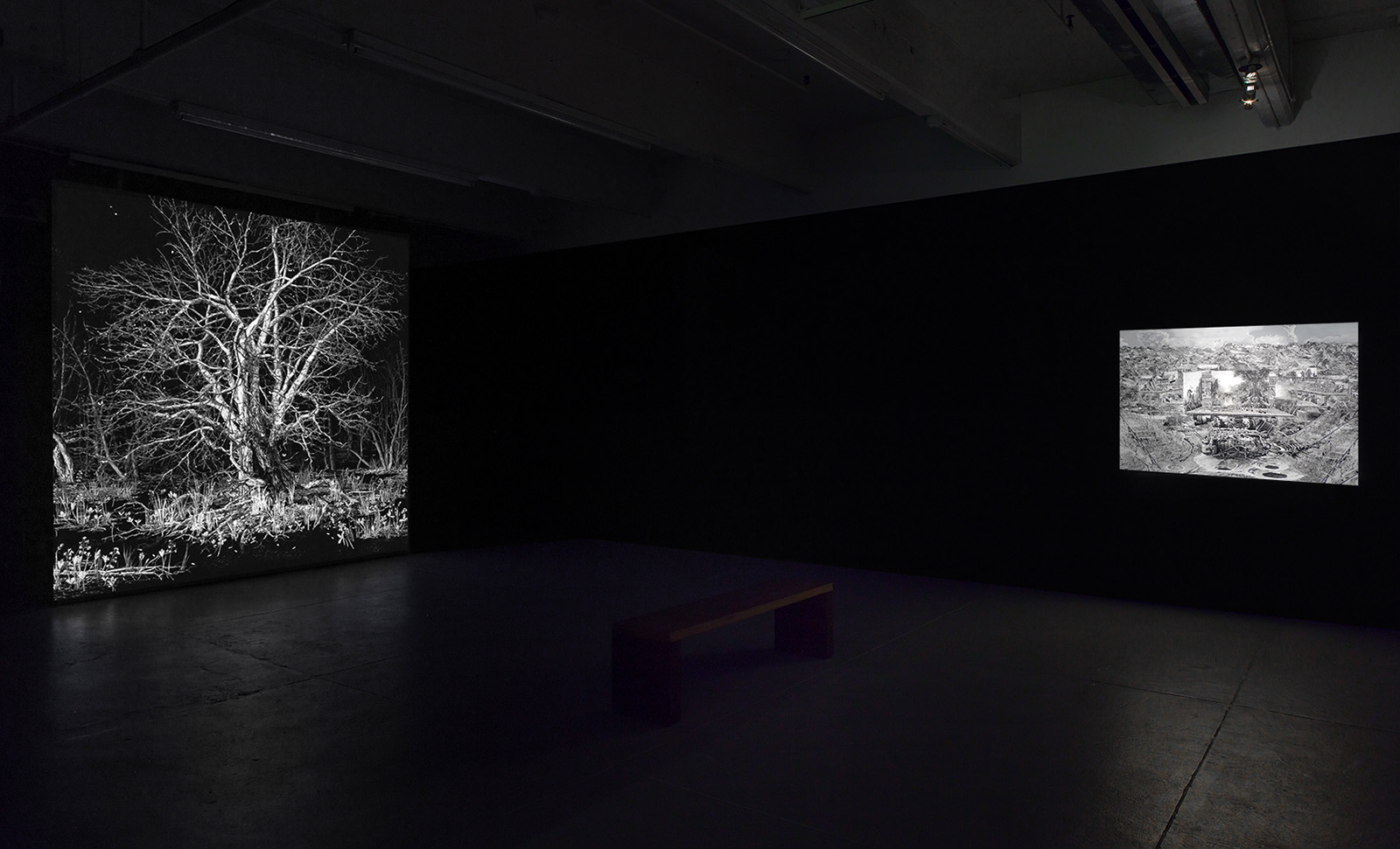 installation view of the Land/Sky exhibition