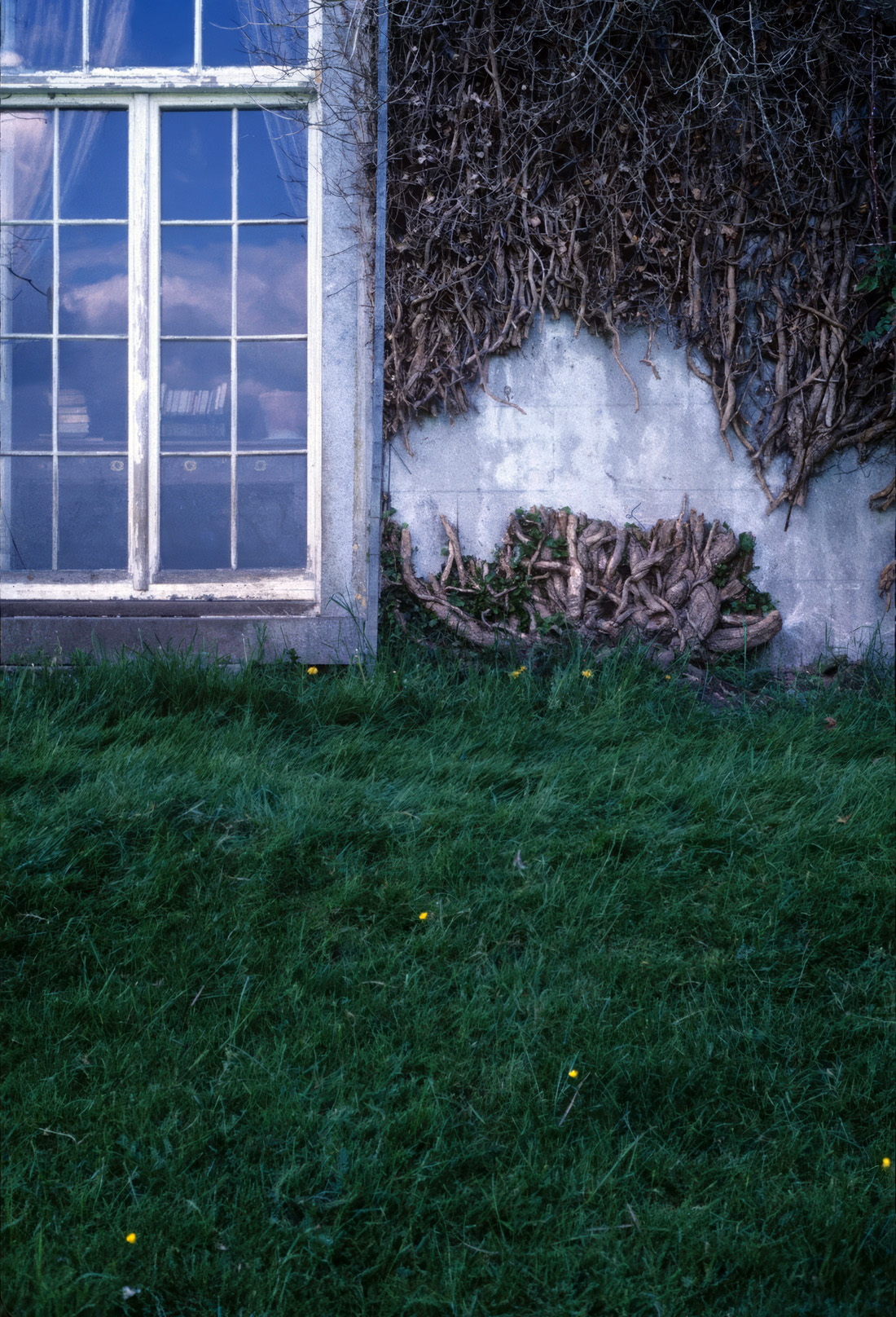 view of an Irish house