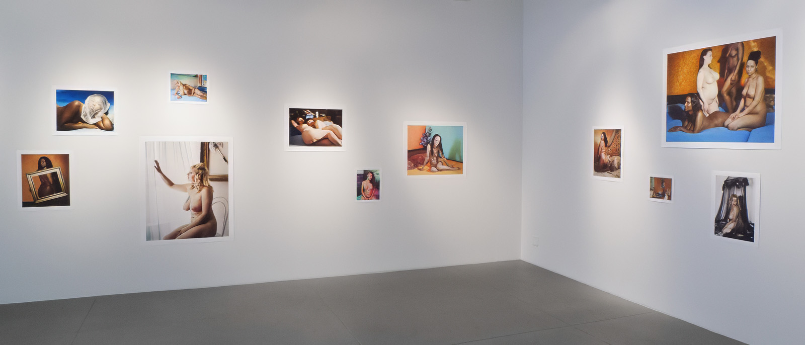 installation view of the Anatomy exhibition