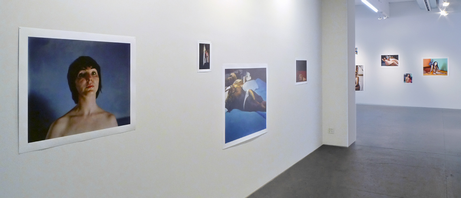 installation view of the Anatomy exhibition