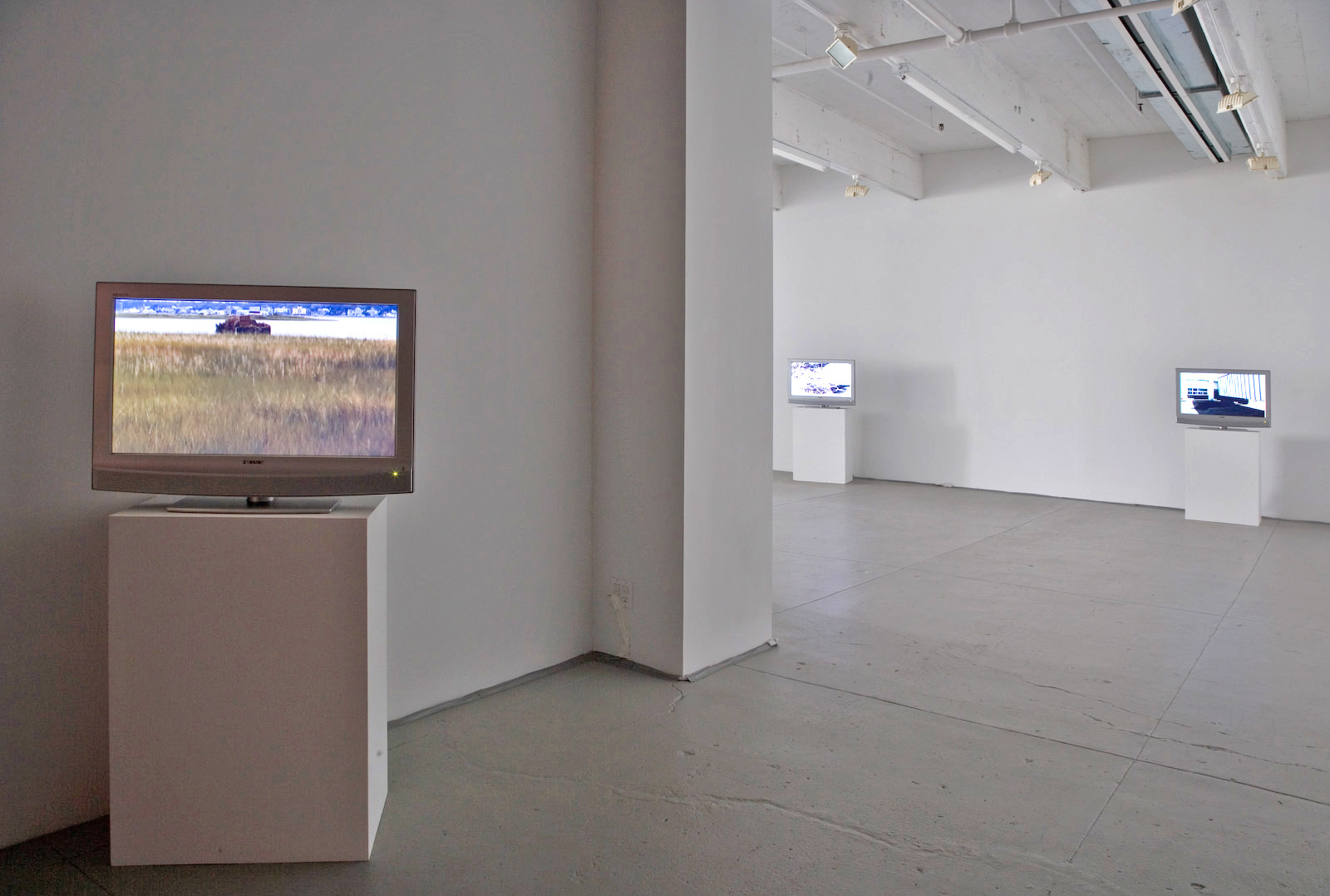 installation view of the Peter Campus exhibition