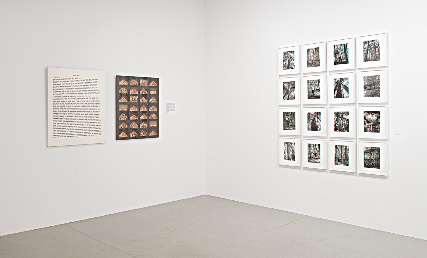 installation view of the Philosophy in the Land  II exhibition