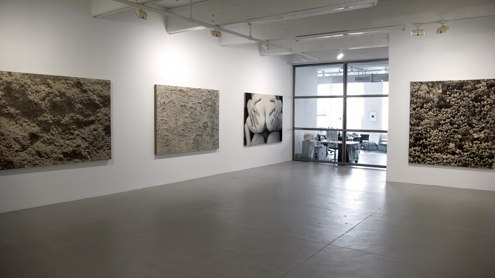 installation view of the Sex and Nature exhibition