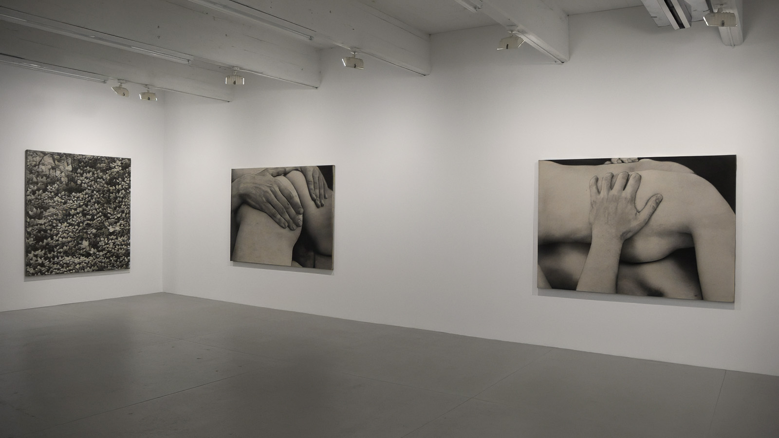 installation view of the Sex and Nature exhibition