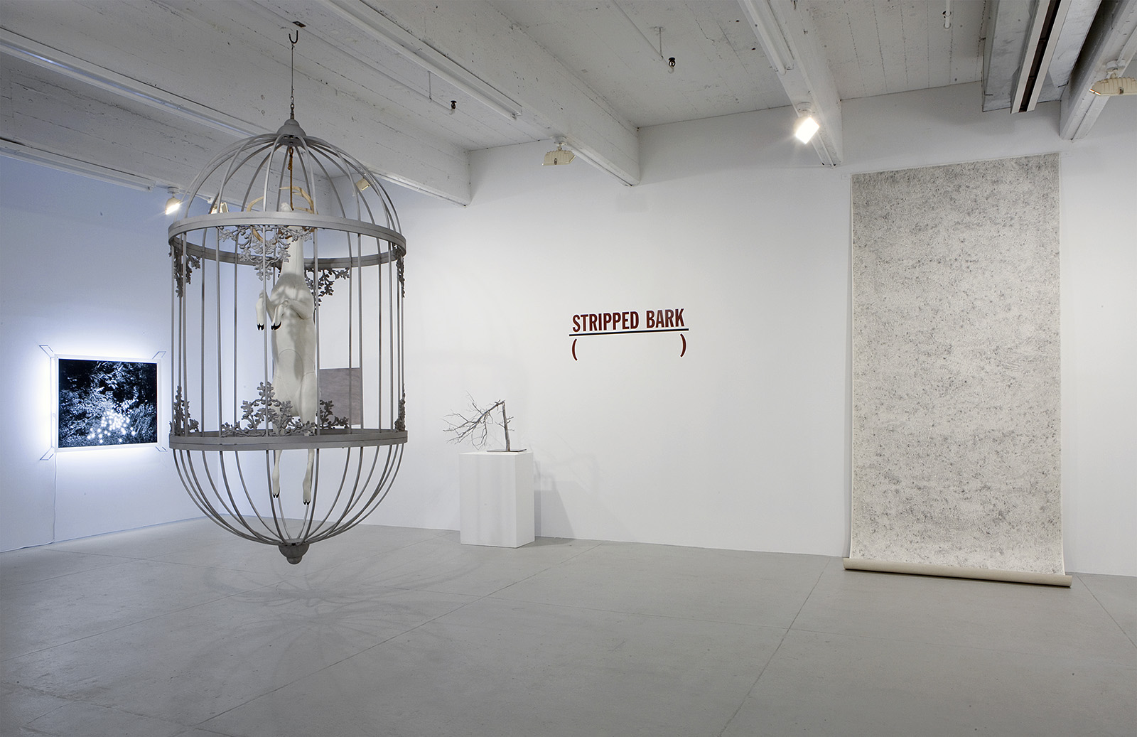 installation view of the Out of the Woods  exhibition