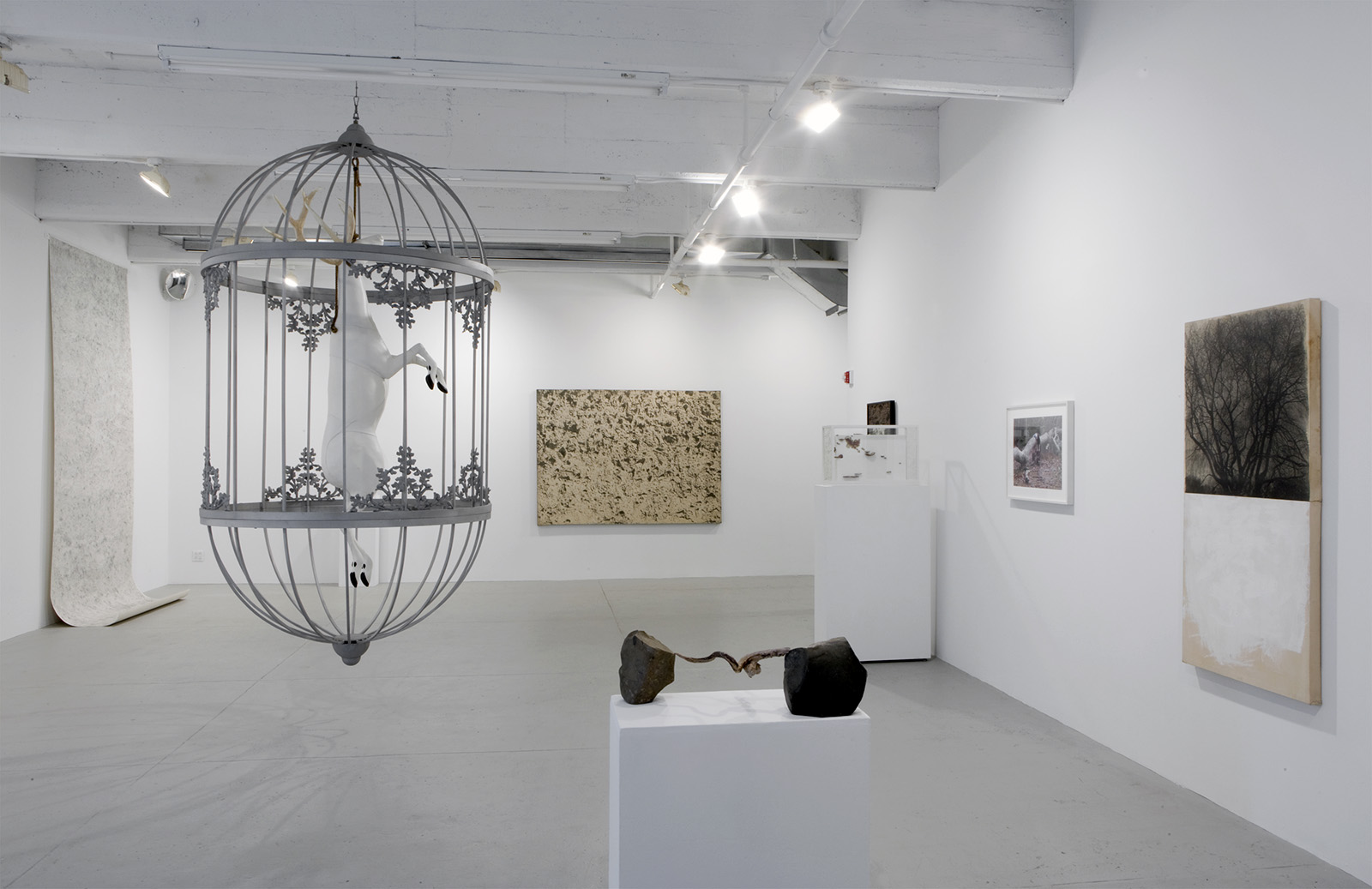 installation view of the Out of the Woods exhibition