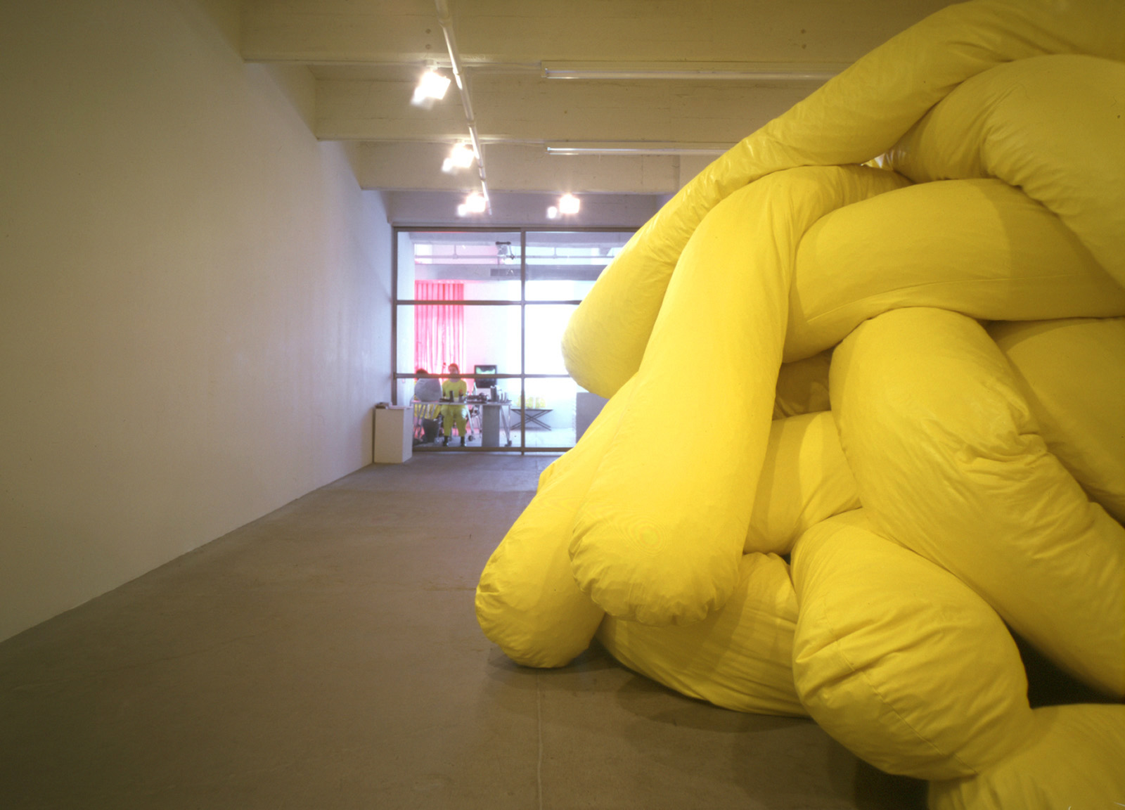 installation view of the Beverly Semmes exhibition